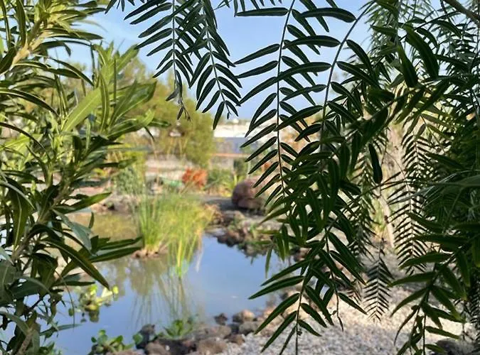 Appartement Ocean View